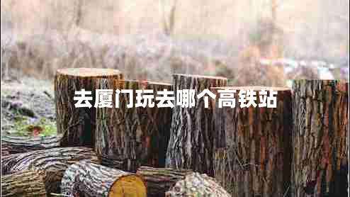 去厦门玩去哪个高铁站