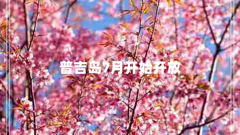 普吉岛7月开始开放