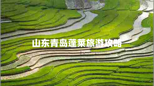 山东青岛蓬莱旅游攻略