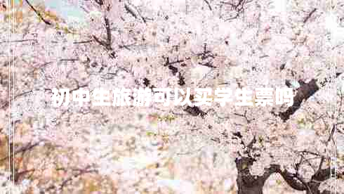 初中生旅游可以买学生票吗