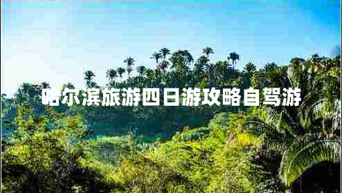 哈尔滨旅游四日游攻略自驾游 哈尔滨旅游四日游攻略自驾游