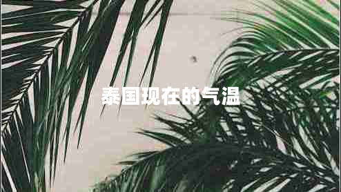 泰国现在的气温