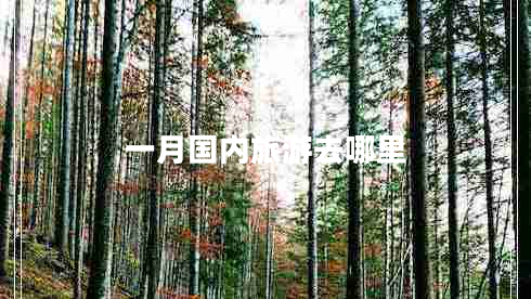一月国内旅游去哪里
