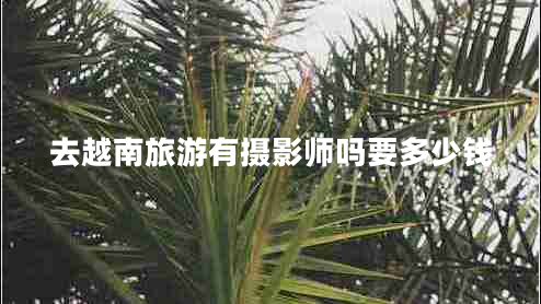 去越南旅游有摄影师吗要多少钱 去越南旅游有摄影师吗要多少钱