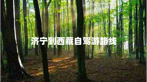 济宁到西藏自驾游路线