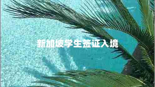 新加坡学生签证入境