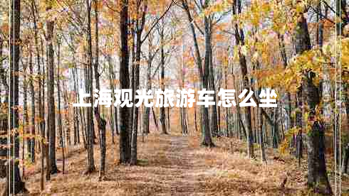 上海观光旅游车怎么坐