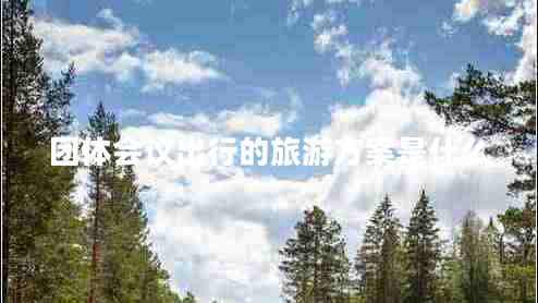 团体会议出行的旅游方案是什么
