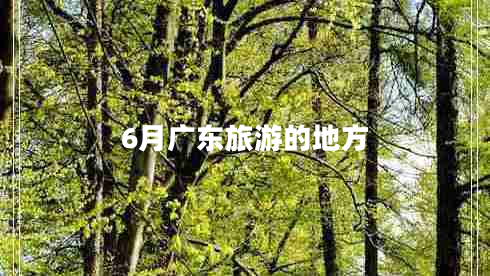 6月广东旅游的地方