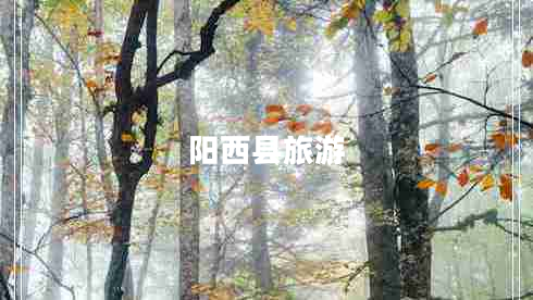 阳西县旅游