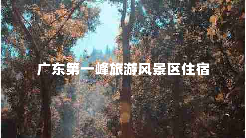 广东第一峰旅游风景区住宿