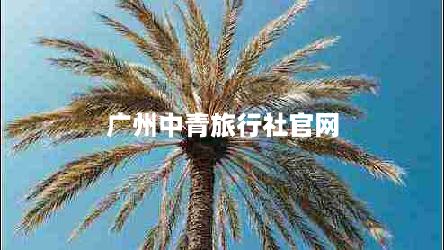 广州中青旅行社官网