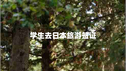 学生去日本旅游签证