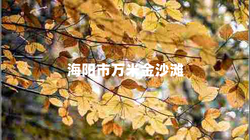 海阳市万米金沙滩