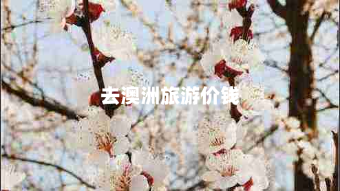 去澳洲旅游价钱