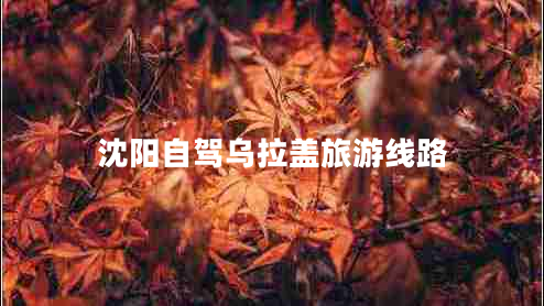 沈阳自驾乌拉盖旅游线路