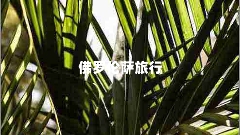 佛罗伦萨旅行