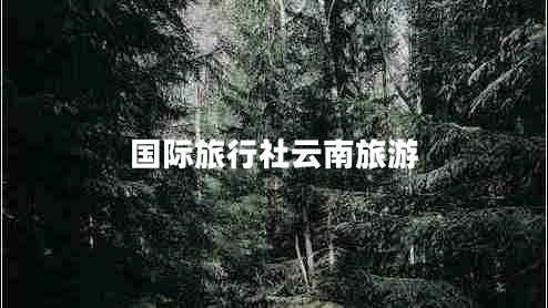 国际旅行社云南旅游