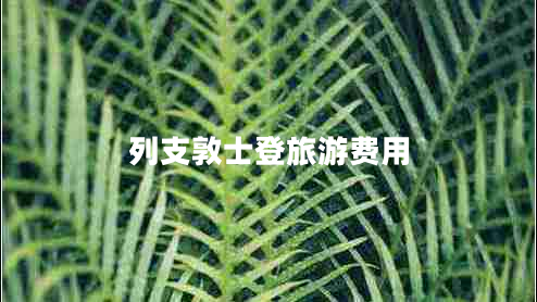 列支敦士登旅游费用