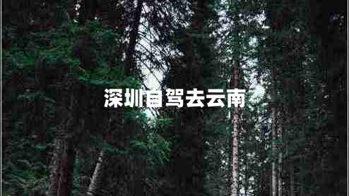 深圳自驾去云南