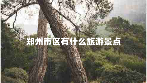 郑州市区有什么旅游景点