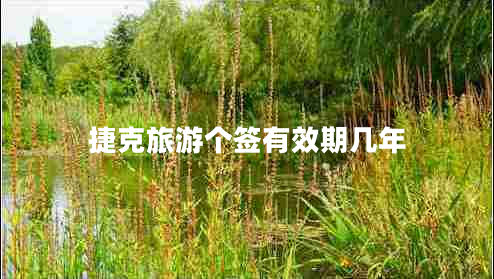 捷克旅游个签有效期几年