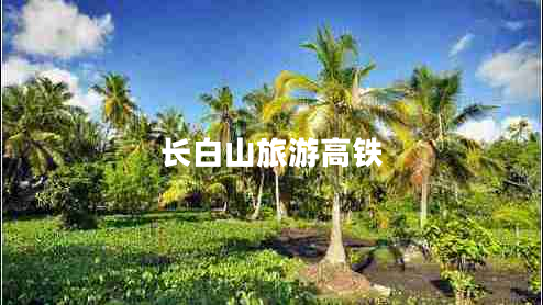 长白山旅游高铁