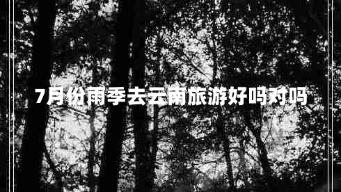 7月份雨季去云南旅游好吗对吗