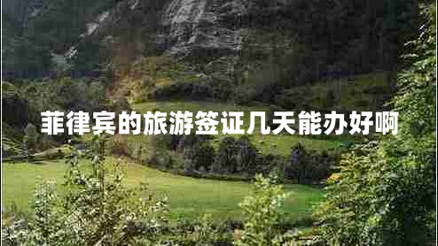 菲律宾的旅游签证几天能办好啊
