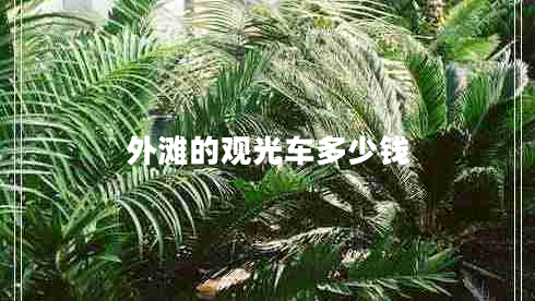 外滩的观光车多少钱