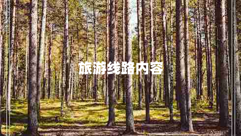 旅游线路内容