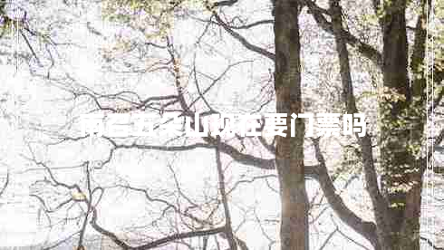 南召五朵山现在要门票吗