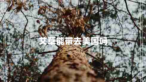 艾草能带去美国吗