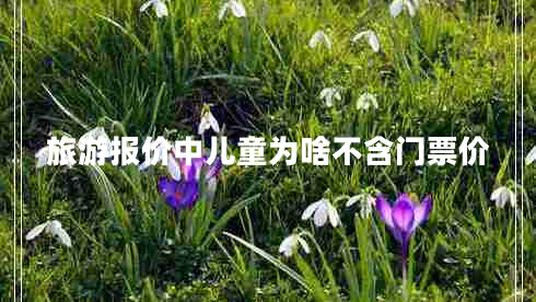 旅游报价中儿童为啥不含门票价