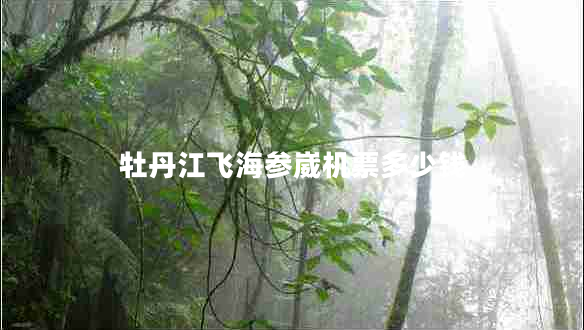 牡丹江飞海参崴机票多少钱