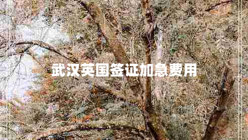 武汉英国签证加急费用