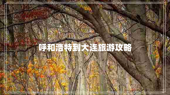 呼和浩特到大连旅游攻略