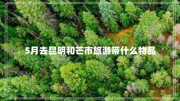5月去昆明和芒市旅游带什么物品