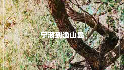 宁波到渔山岛 宁波到渔山岛