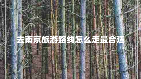 去南京旅游路线怎么走最合适