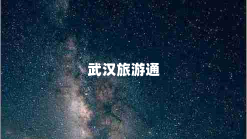 武汉旅游通