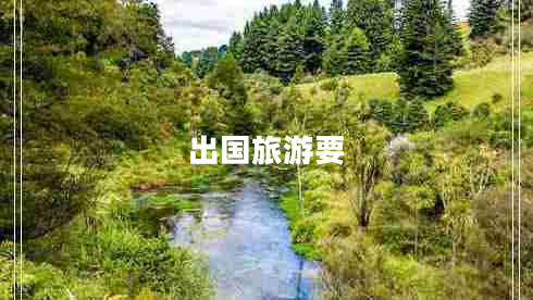 出国旅游要