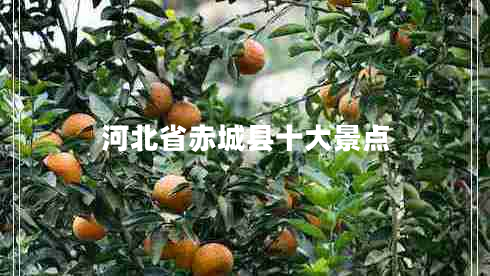 河北省赤城县十大景点