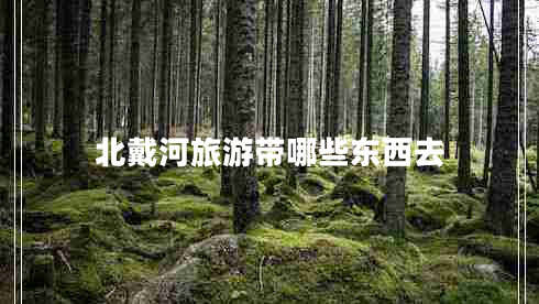 北戴河旅游带哪些东西去 北戴河旅游带哪些东西去