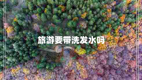 旅游要带洗发水吗