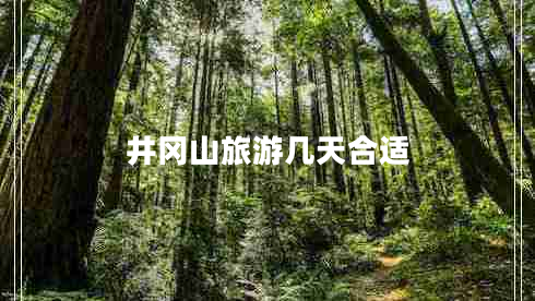井冈山旅游几天合适