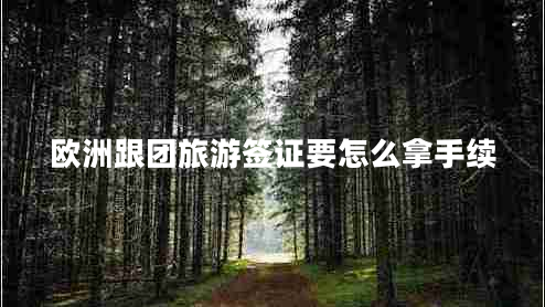 欧洲跟团旅游签证要怎么拿手续