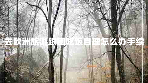 去欧洲旅游跟团吃饭自理怎么办手续