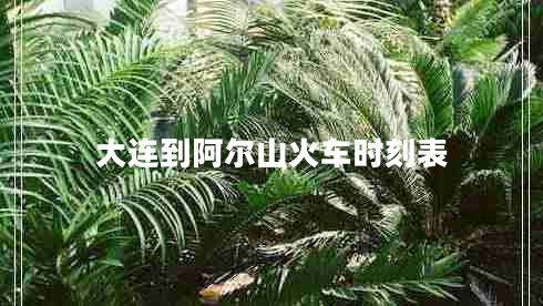 大连到阿尔山火车时刻表 大连到阿尔山火车时刻表