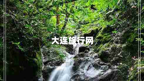 大连旅行网